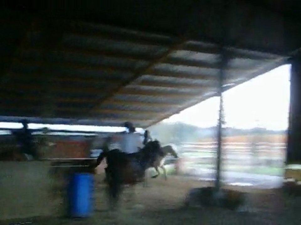 Horse Ball