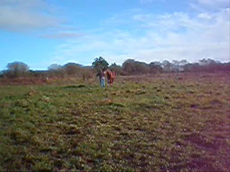 séance de selle ....