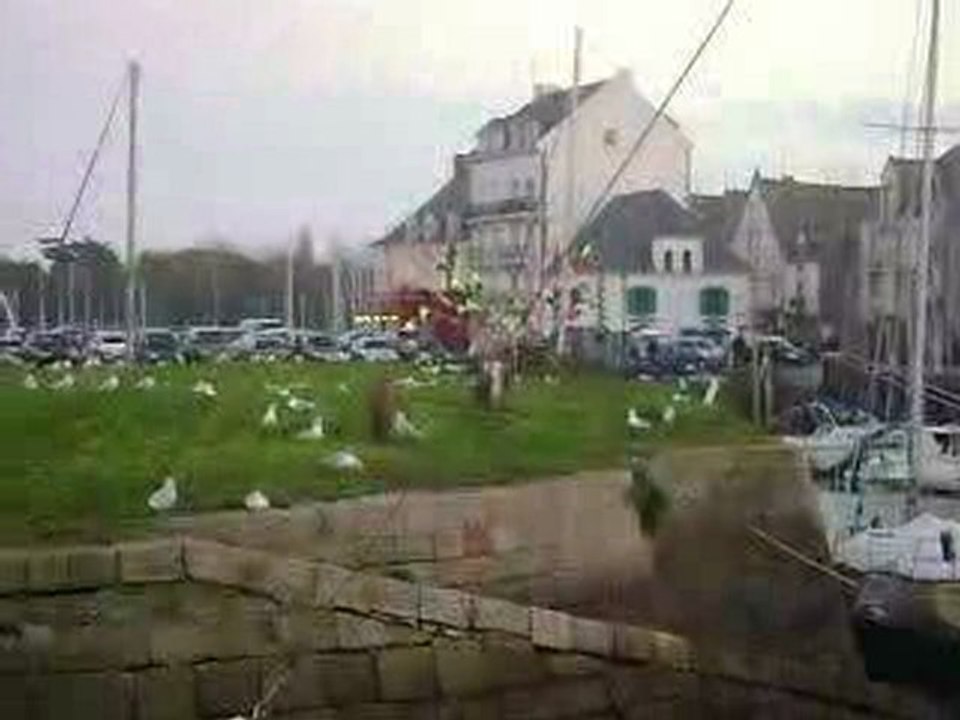 le croisic