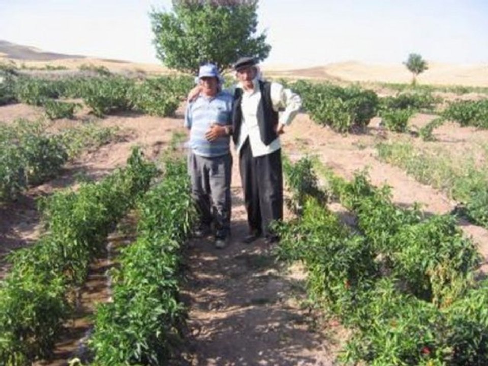 İŞTE BENİM MEMLEKETİM