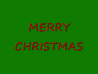 Pigeon Pals Daily RacingClubNews164MERRY CHRISTMAS