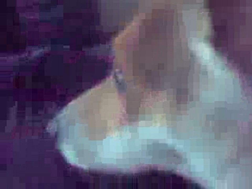 Dockie pleure
