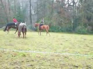 Pango & moi  Elo & Ispalis =P