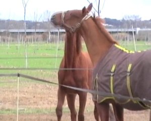 2009.12.26 jeux Inari Orval & Emilio