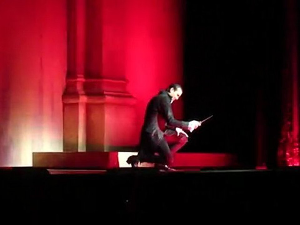 Mozart l'Opéra Rock - 23/12/2009 15h, L'assasymphonie.