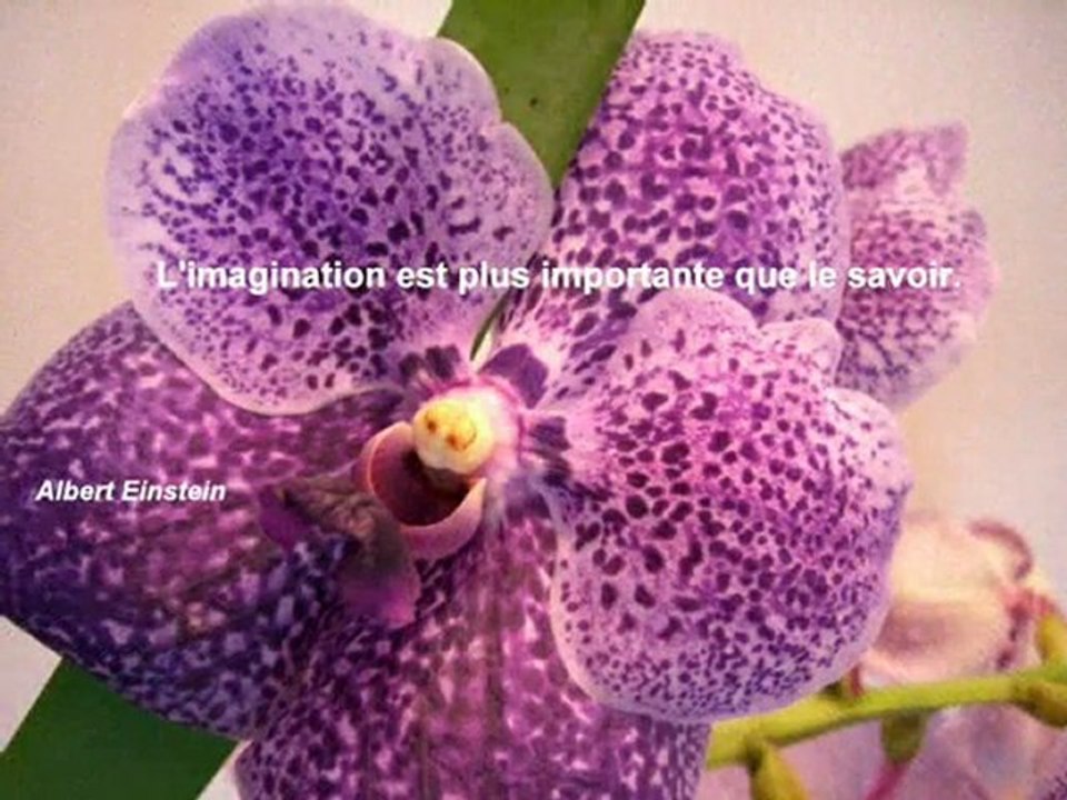 Florilège positif pour 2010