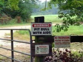 The Crisis of Credit Visualized & Humorized