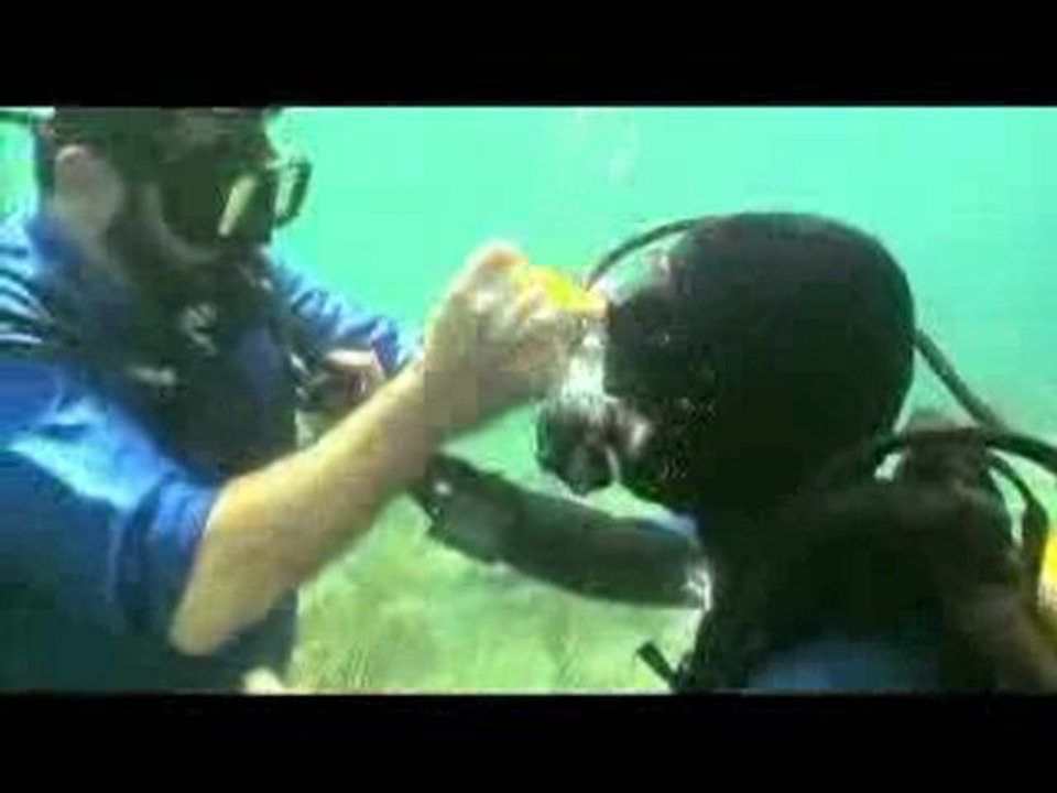 Mighty Fixit Billy Mays As Seen on TV Commercial