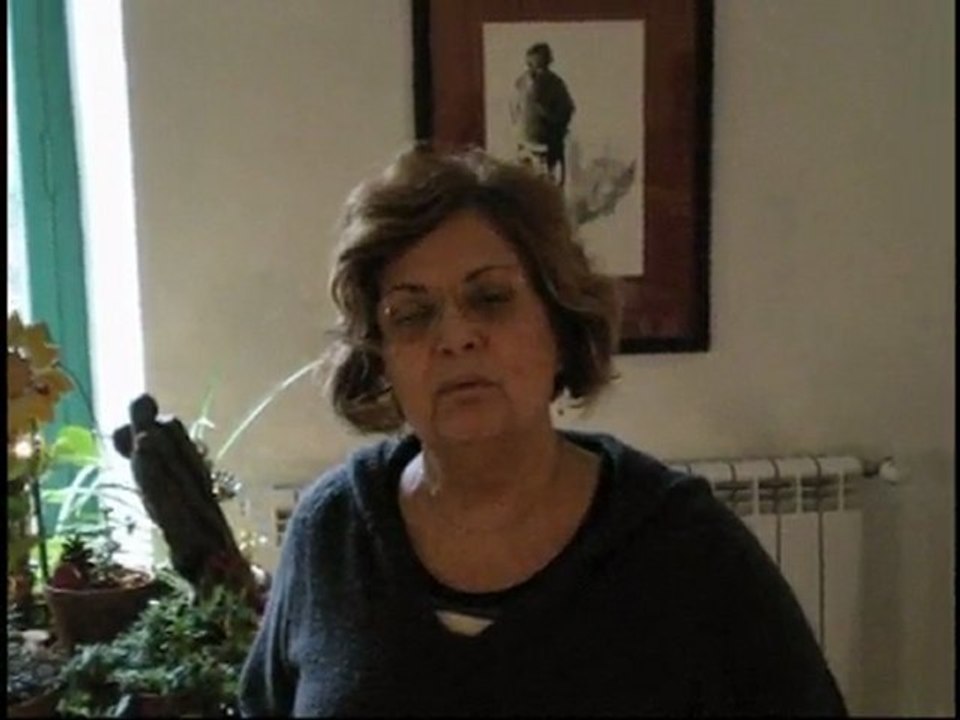 Réouverture de la rive droite du Rhône au trafic passagers