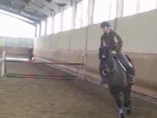 Puissance galop 3