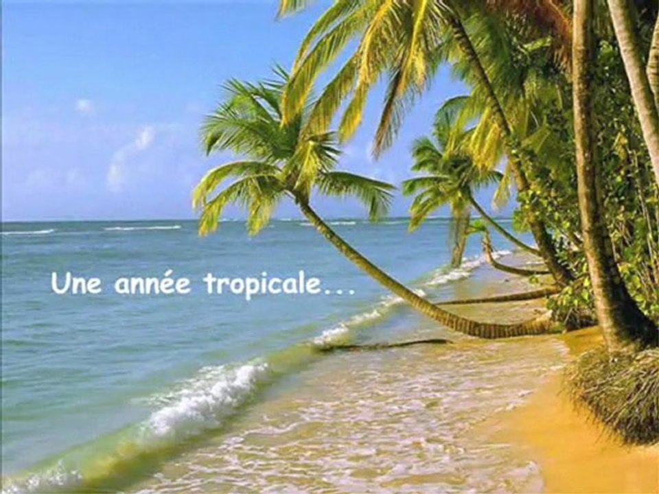 diap2010_0001