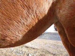 220 jours de gestation: Salsa!