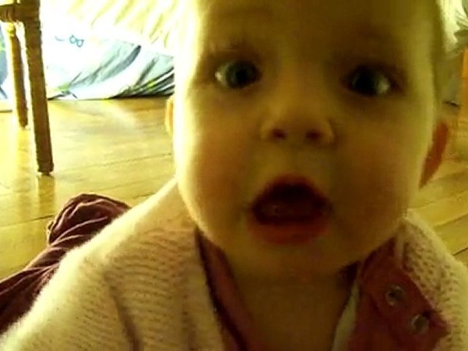 petite balade a quatre pattes