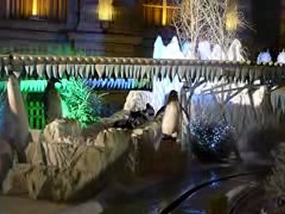 Marché de Noël d'Amiens pingouins