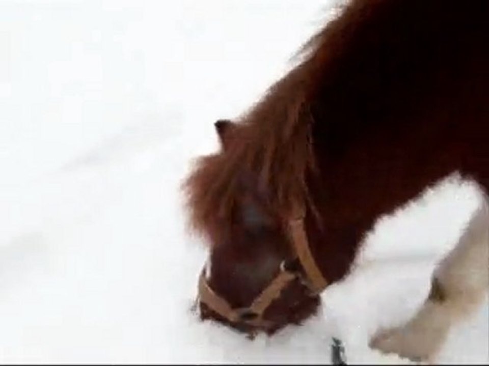 Tagada dans la neige