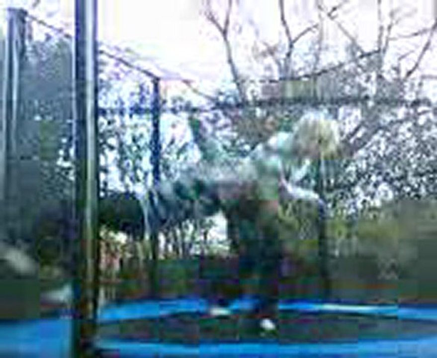 Prises de catch de la wwe