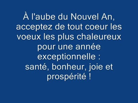 Meilleurs Voeux 2010