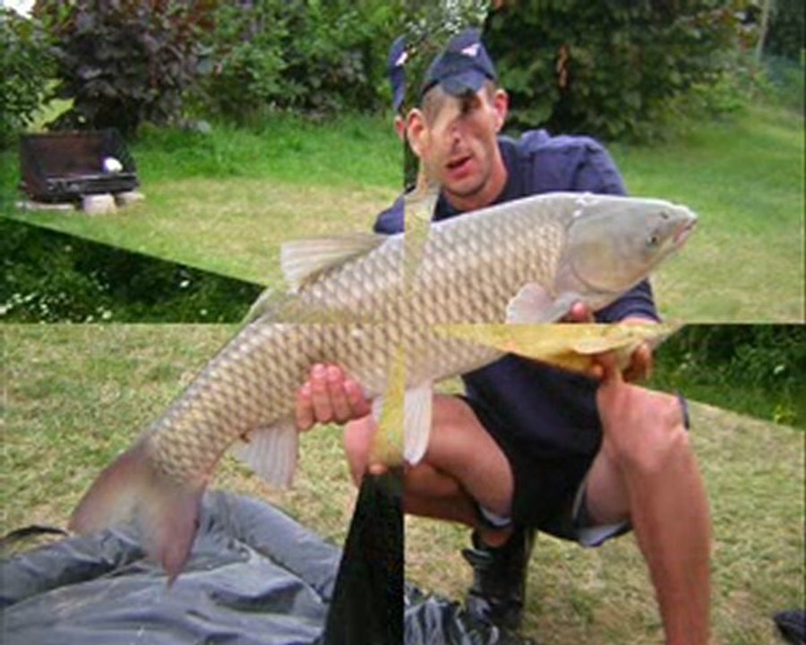 pêche à la carpe saison 2009