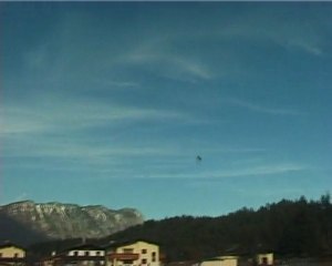 T-rex 250 SE 28-12-09