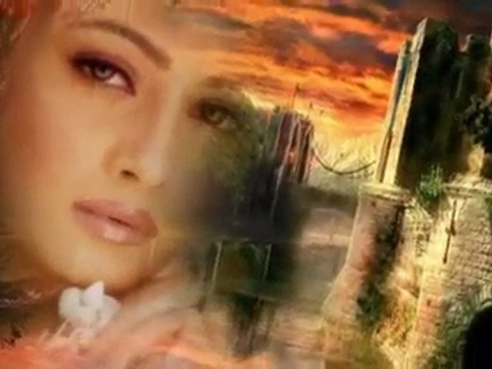 Bayer Full - Autobus