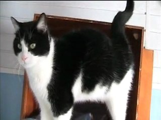 Dermaflon - 26 décembre 2009