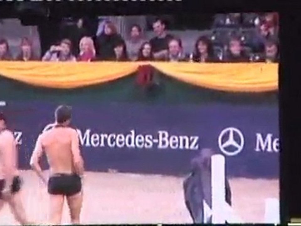 HORSEMAN A DRESDEN homme cheval babass