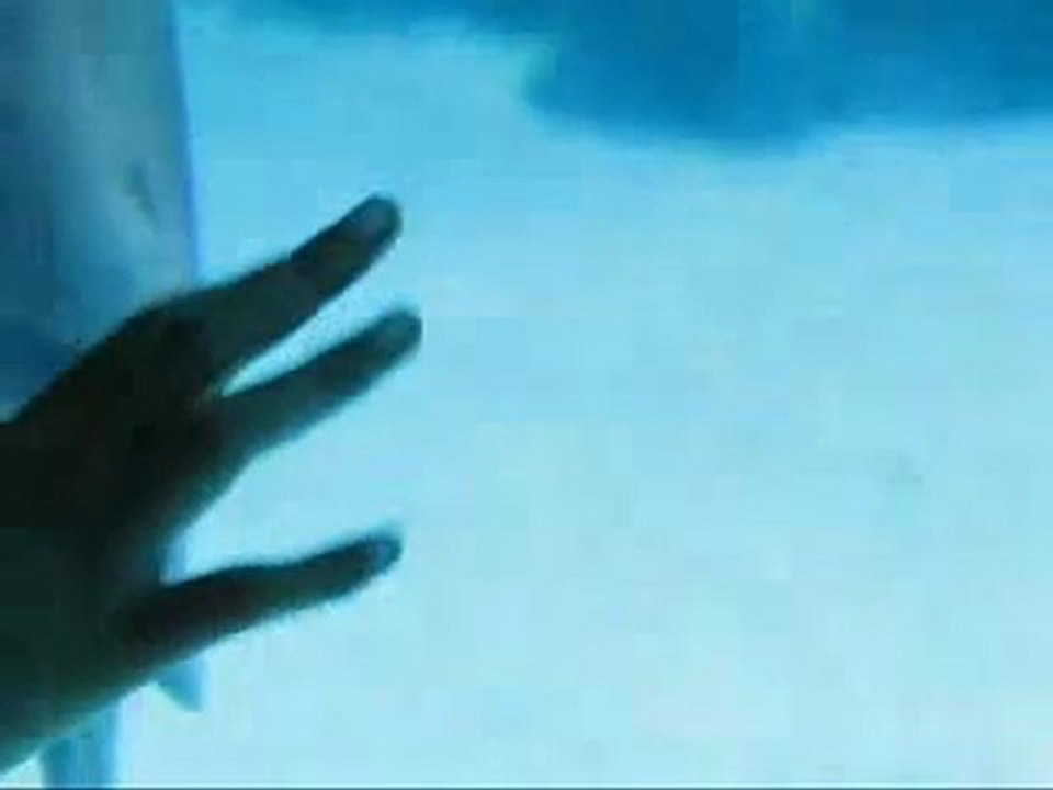 Momment de douceur dans ce monde de brutes