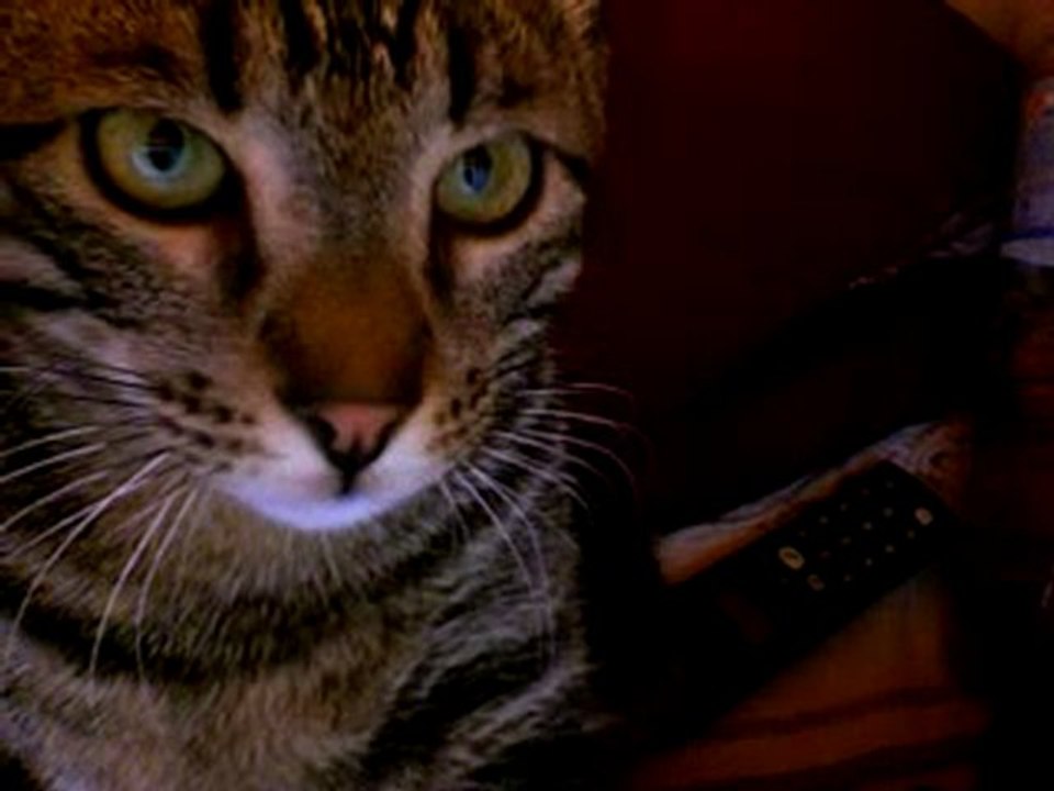 Marcel et sa webcam