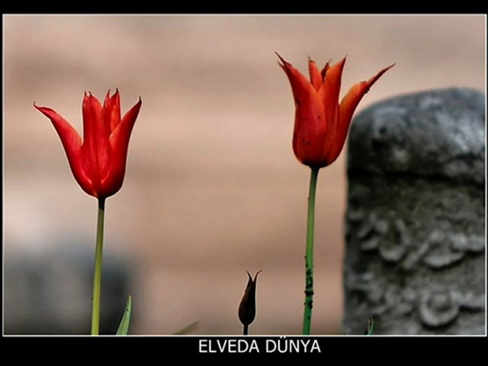 Hattabınoğlu Elveda Dünya İlahi