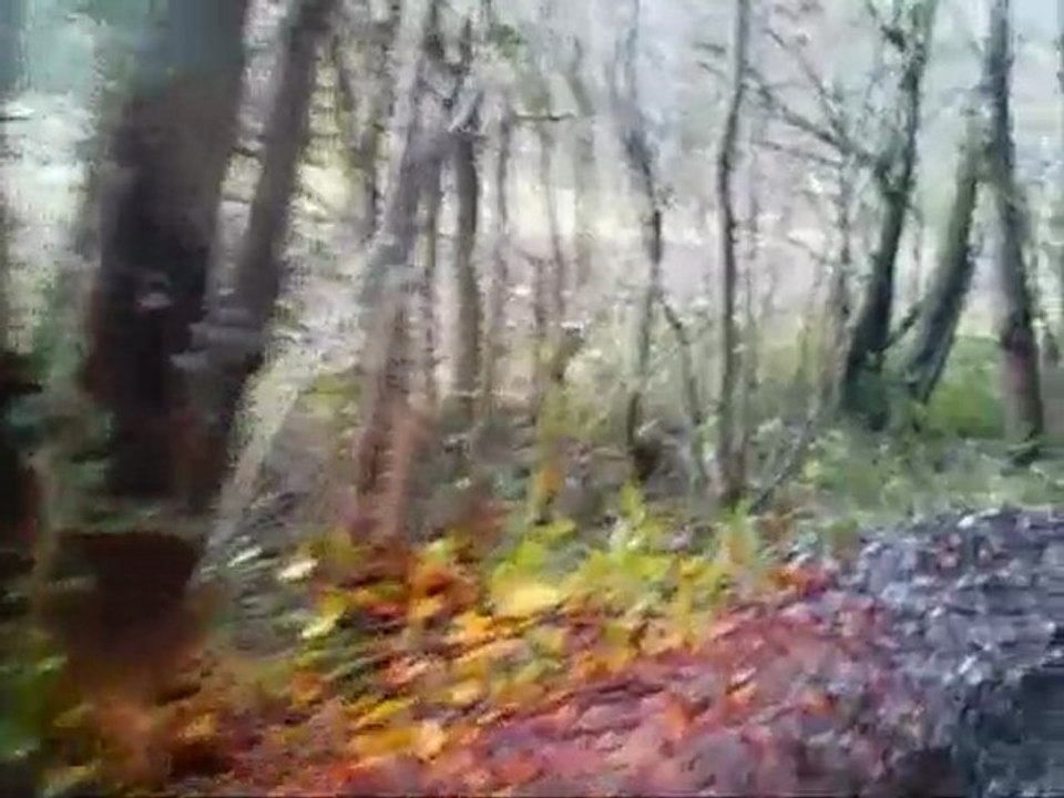 balade du 27 dec 2009 (vidéo)