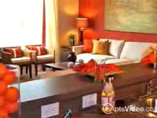5 West Apartments in Tampa, FL-ForRent.com