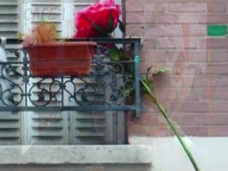 Nice & Slow (Jesse Green)