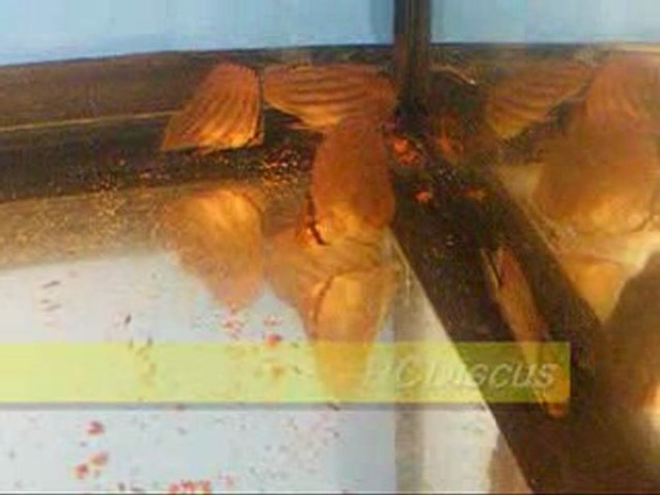 RB&T yavrular büyüyorlar