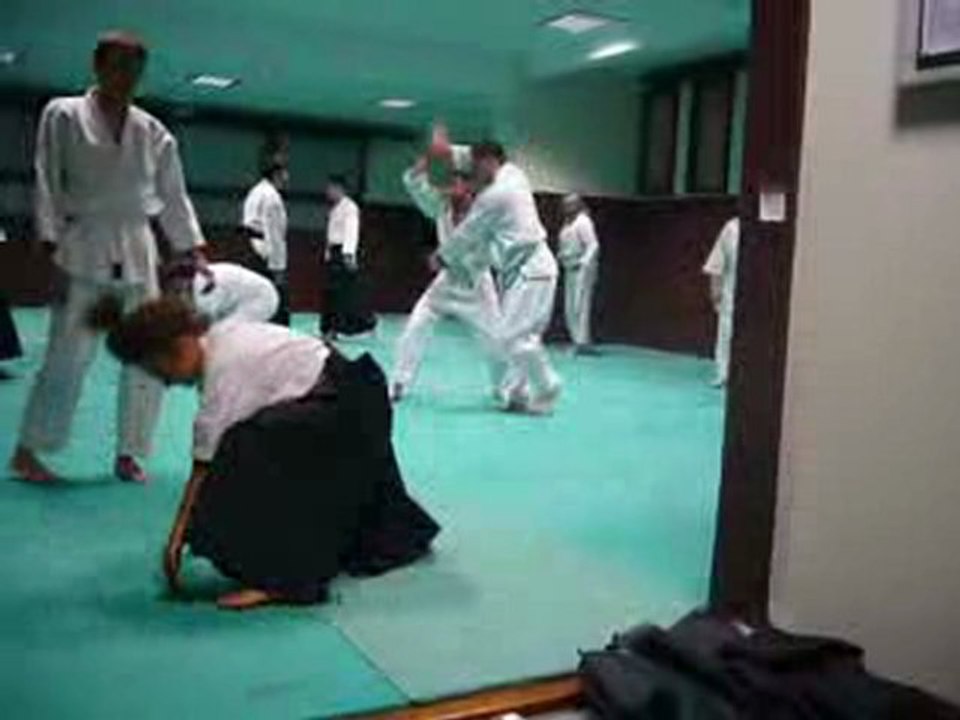v17- Entraînement aïkido 1