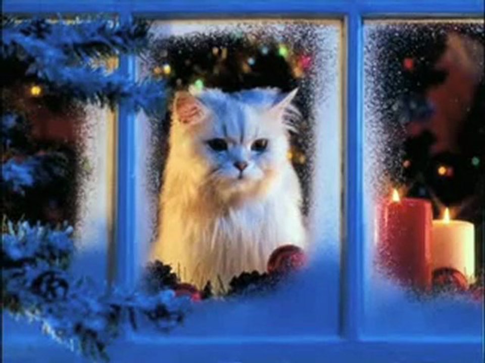 6-APRES NOEL