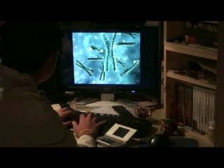 c'est vraiment nul de chez nul (à ne pas regarder )