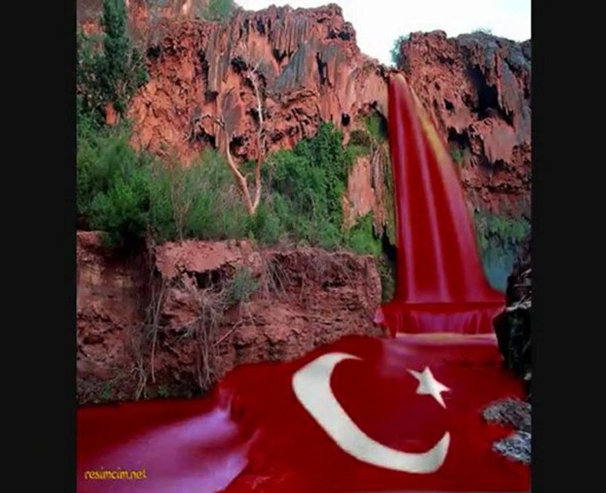 SAKARYA TURKUSU