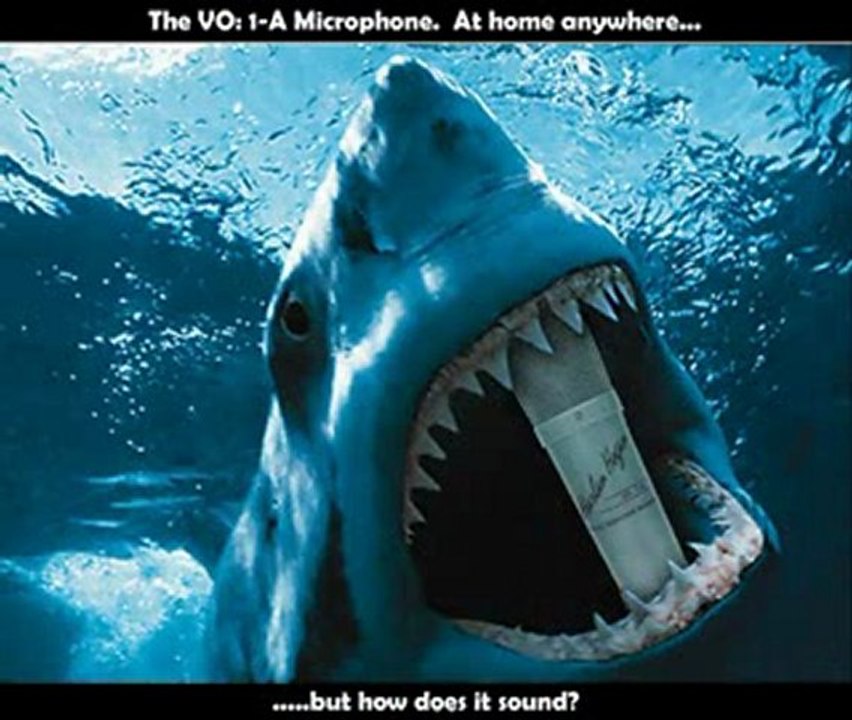 Best Voice Over Microphones