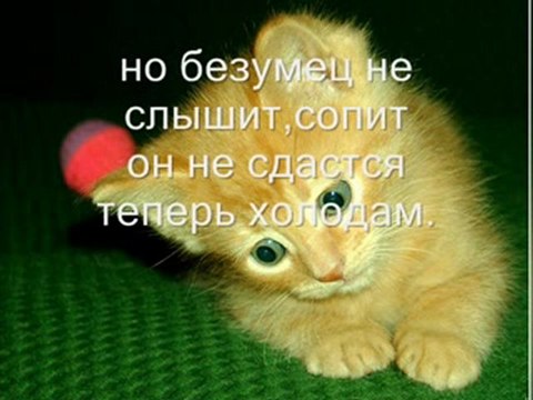 Я тебя никому не отдам