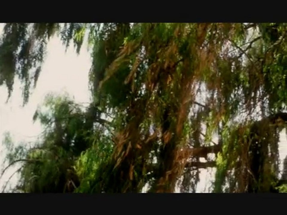 MORITURI-FILM ALGERIEN PARTIE 4