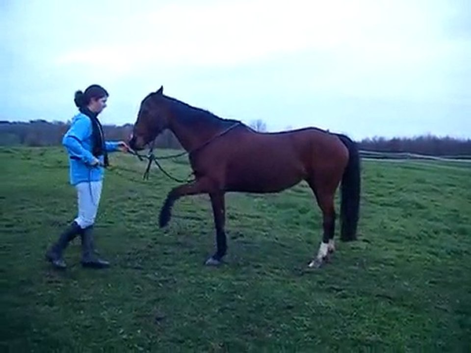 Année 2009 Jam