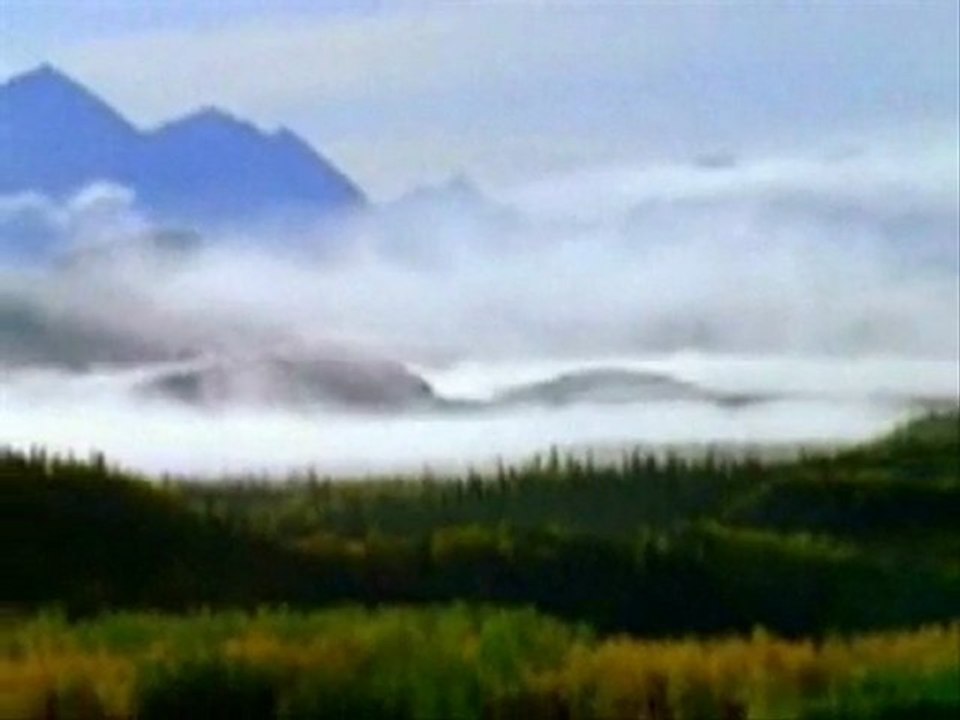 YILBASI FELAKETİNİ KUTLAMIYORUZ -1