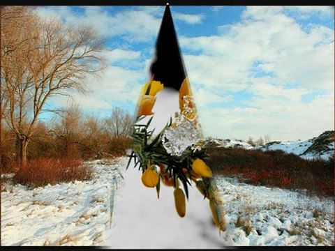 Mes meilleurs voeux pour l'année 2010 a ma famille et amis