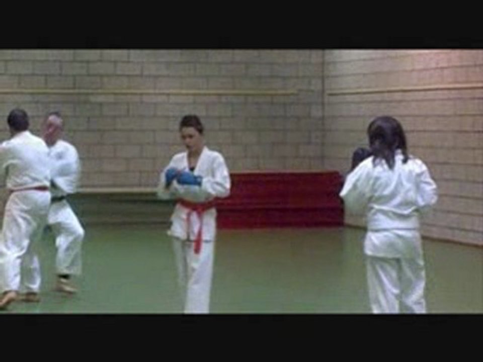 Cools Michel Karaté Kumité Shito Ryu leger