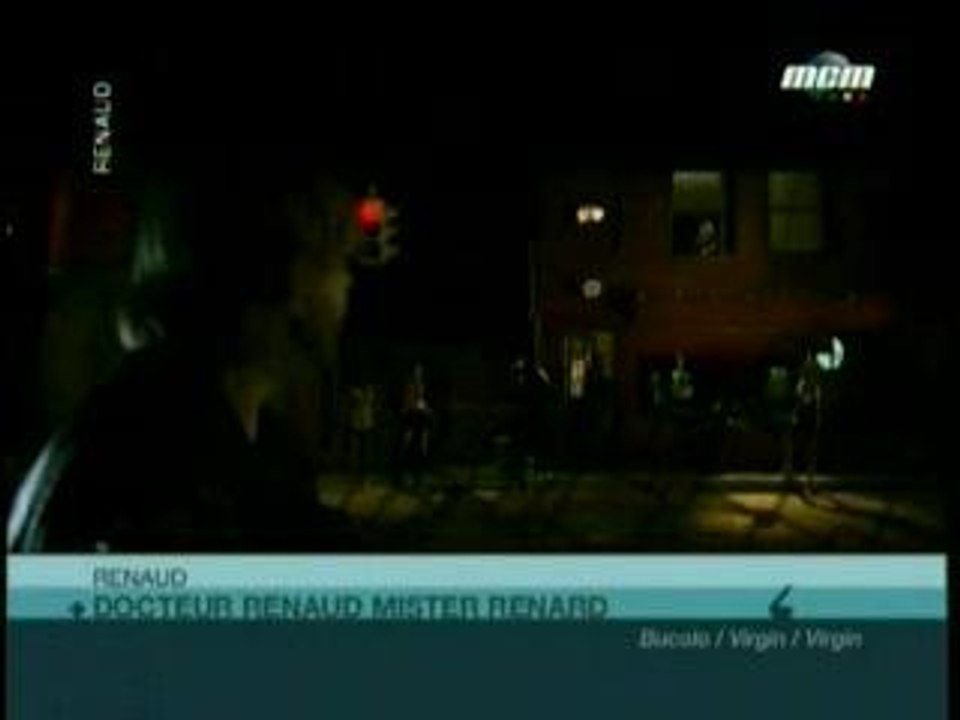 docteur renaud mister renard
