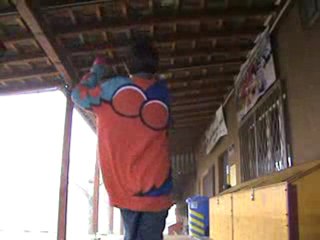 Freebandy TRIO MODIF