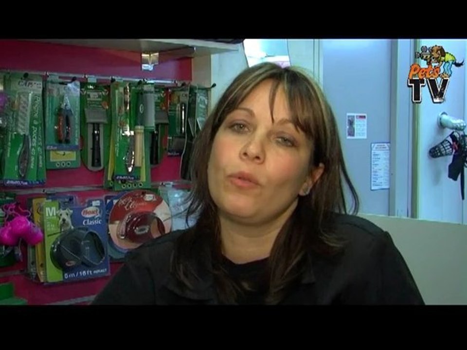 Couper les griffes de son chien