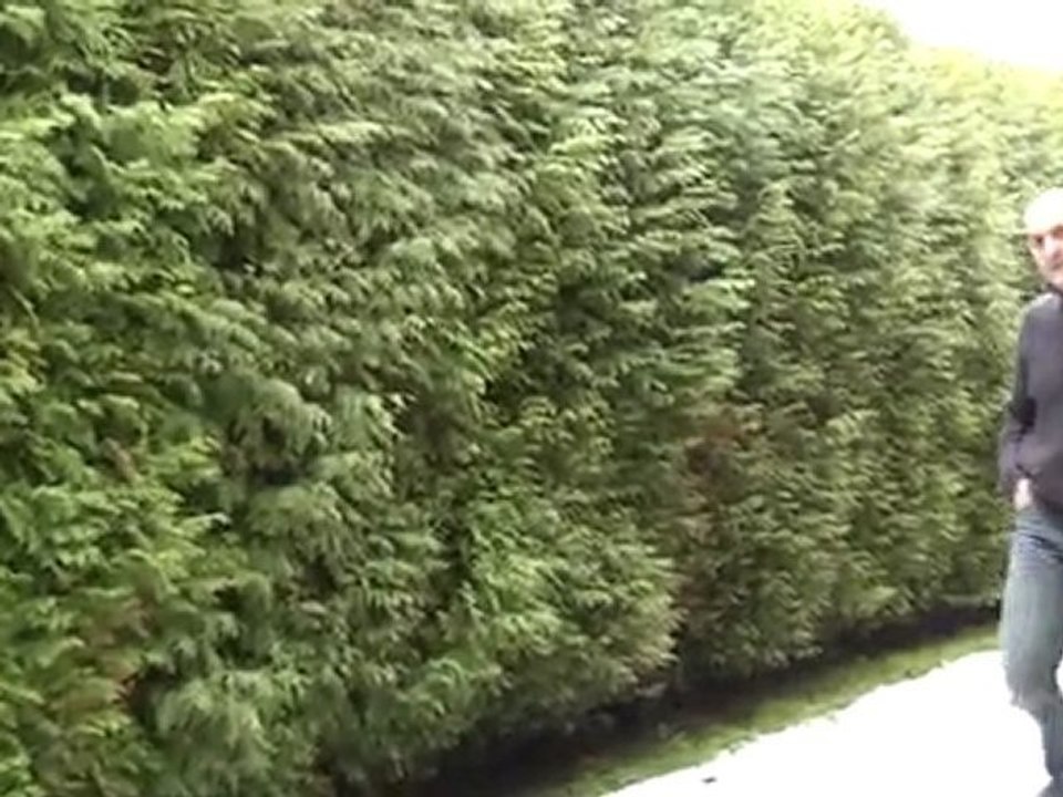 GRATY_TEST