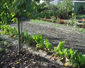 Les Balades du Goût 12-10-2009