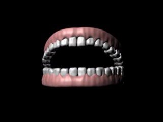Diş 3D tasarım ve Animasyon